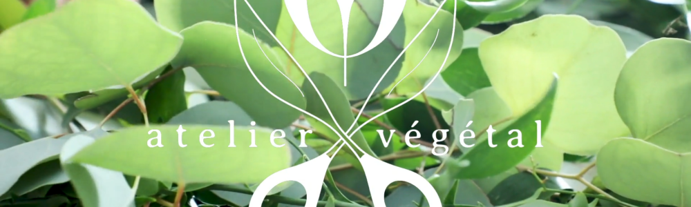 Logo de la marque Atelier Végétal sur fond photo de plantes