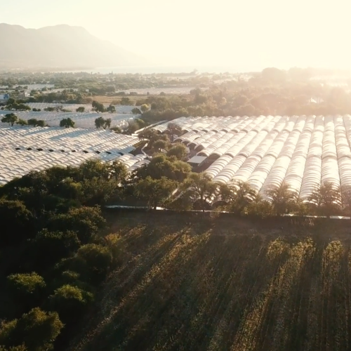 Photo prise au drone d'une exploitation agricole sous le soleil